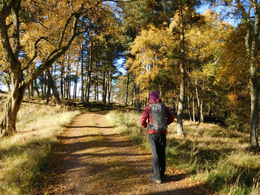 Walking in upper Glen Banvie