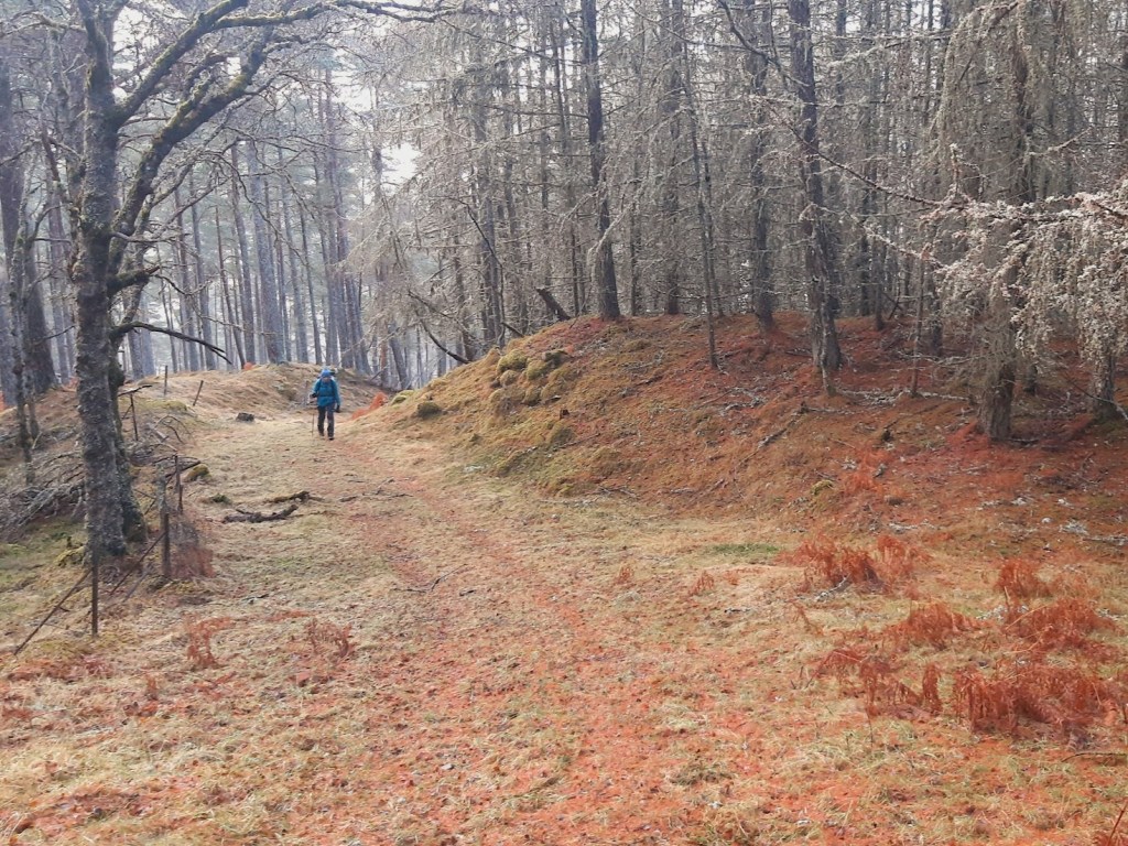 The old military road